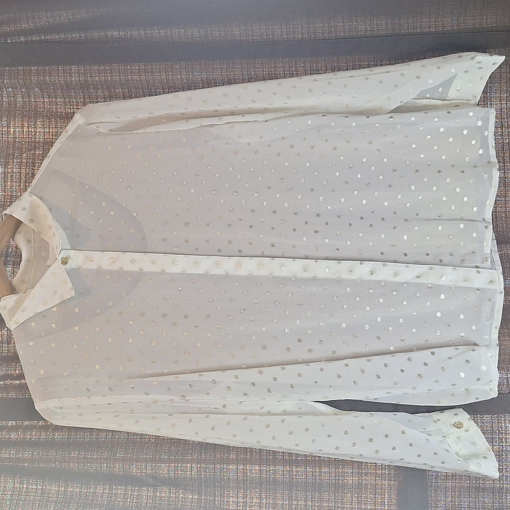 Chico Shimmer Dot 2pc Bouse